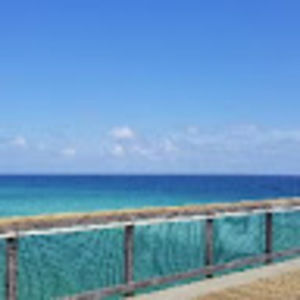 Meet your Posher, Connie